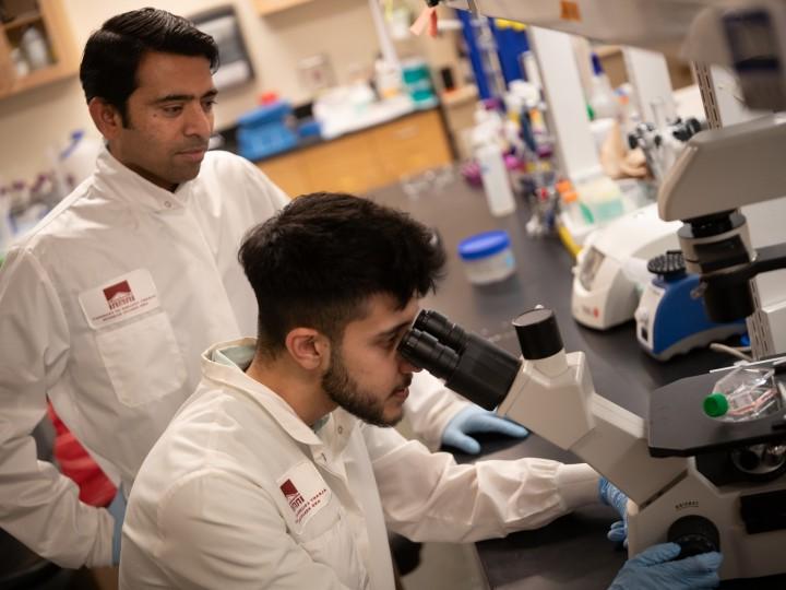 A faculty and student examine sample in a microscope